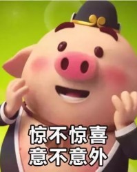 臭屁猪的屁怎么组词