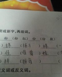 脏换偏旁组词(脏换偏旁再组词)