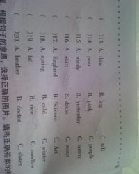 属怎么组词语