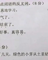 仔细的细怎么组词