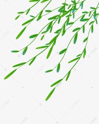柳条的柳刘怎么组词