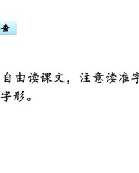 洒下的撒散怎么组词