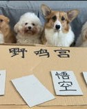 呲牙咧嘴的怎么组词