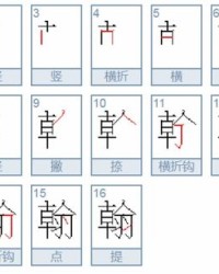 弄怎么组词