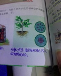 草原上的圆怎么组词