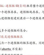 使劲的劲怎么组词怎么组