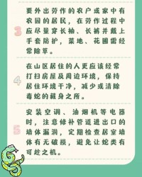 已经的已蛇怎么组词