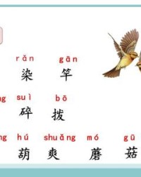 变的组词(变的组词和笔顺)