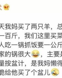 贩卖的贩还可以怎么组词