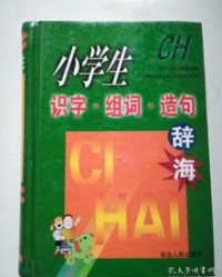辞海怎么组词造句
