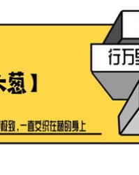 播放你的播怎么组词
