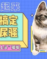 猫尿怎么组词