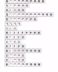 跟的笔顺与组词怎么写