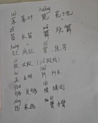 子的拼音和组词