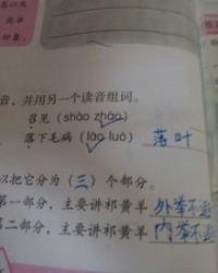 召组词语(召组词语和部首)