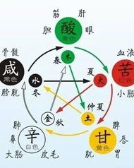 肚池怎么组词