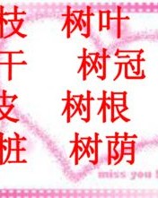 树林的树字怎么组词啊