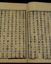 奠的组词(奠的组词组)