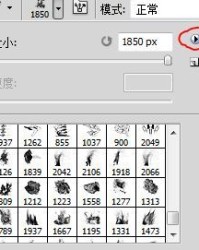 P怎么组词啊