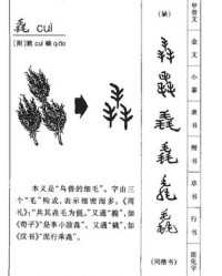 滨的组词和拼音(滨的组词和拼音还有偏旁)