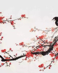 相遇红梅怎么组词