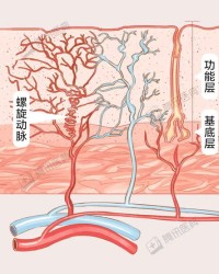 经血的叶怎么组词