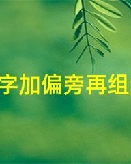 人加偏旁组词(分加偏旁组词)