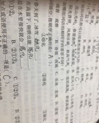 b彼怎么组词