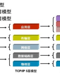 族组词(族组词词)