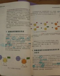 修的组词有哪些(修字的修组词)