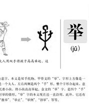 器官的关可以怎么组词