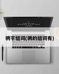 骋字组词(骋的组词有)