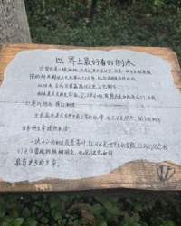 红山树的山怎么组词