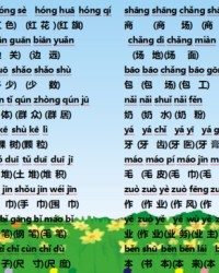 菊组词(菊组词拼音)