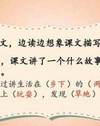 蒲公英的福字怎么组词