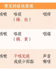 炖该怎么组词