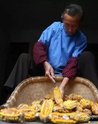 抳组词(抳组词和拼音)