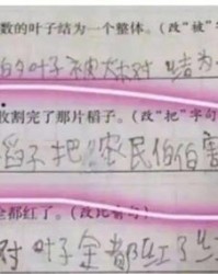 家组词造句