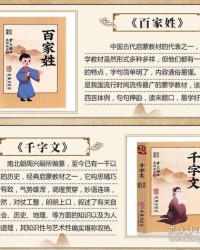 姓怎么组词小学生