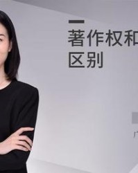 权字组词(权字组词有哪些)