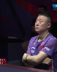 用陈组词(用陈组词唯美)