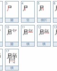 臂怎么组词语