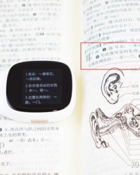 笔字组词语(笔组词语有哪些)