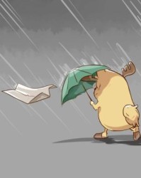 下雨的雨怎么组词