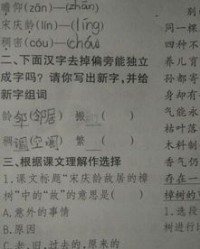 提手旁的单字怎么组词