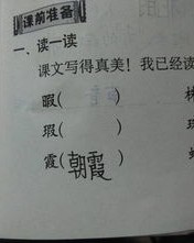竹子旁采怎么组词