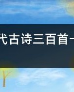 怎么组词三百首古诗