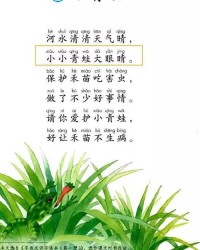 蜻蜓的蜻怎么组词视频