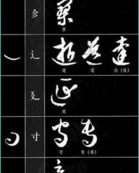参字加偏旁组词(参字加偏旁部首)