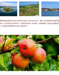 浆果的浆可以怎么组词呀